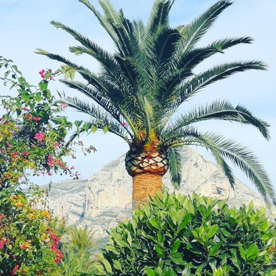Apartment Paca Jávea Esterno foto